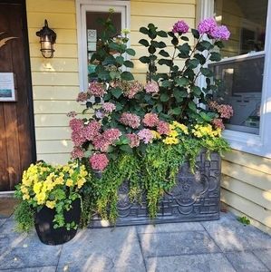 Meet your Posher, Silvana